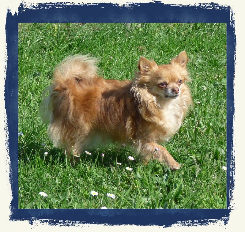 Aliuska nayade de la romarinière