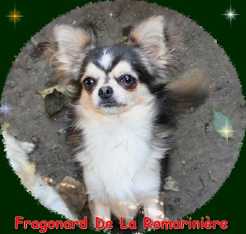Fragonard de la romarinière